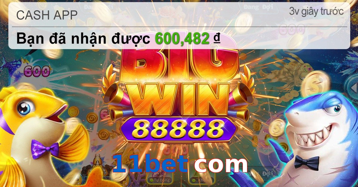 11bet com